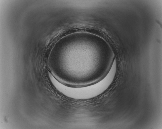 X0000103161253200809051652