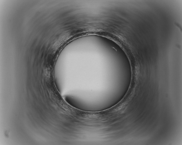 X0000103161257200809051652