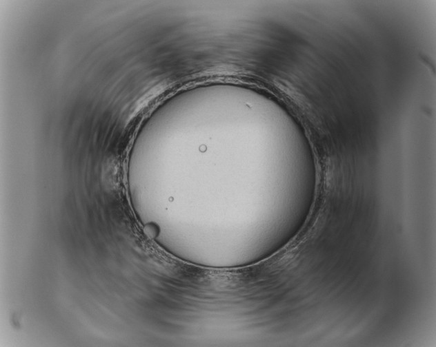 X0000103161258200809051652