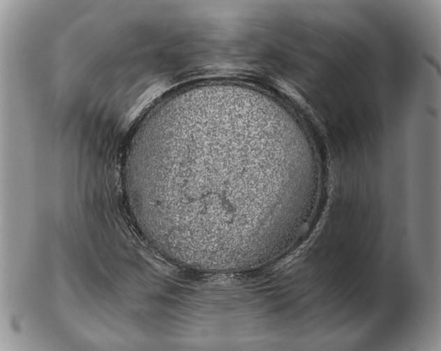 X0000103161259200809051652