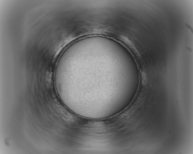 X0000103161260200809051652