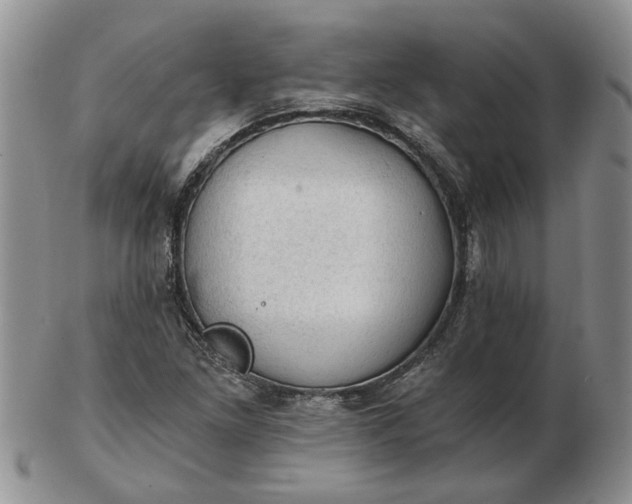 X0000103161261200809051652