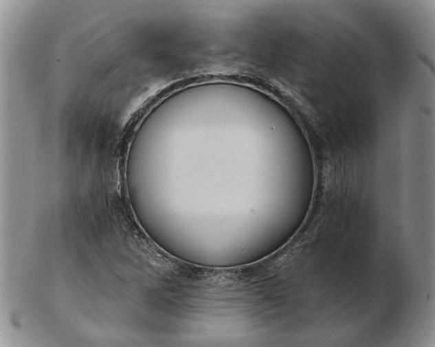 X0000103161262200809051651