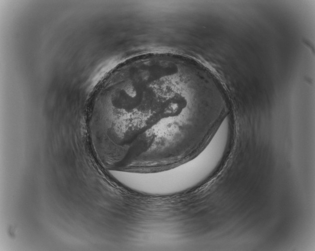 X0000103161263200809051651