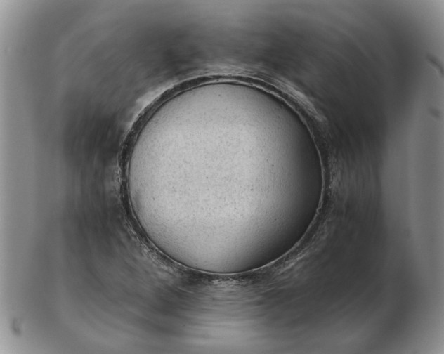 X0000103161264200809051651