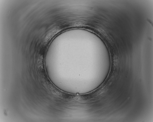 X0000103161265200809051651