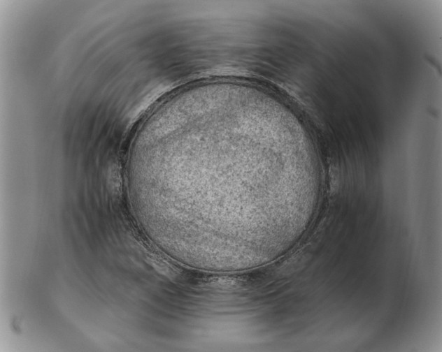 X0000103161266200809051651