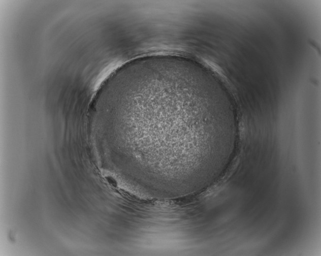 X0000103161267200809051651