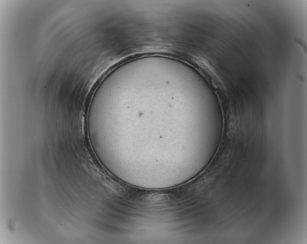 X0000103161268200809051651