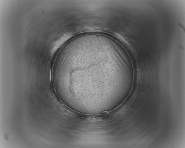 X0000103161269200809051651