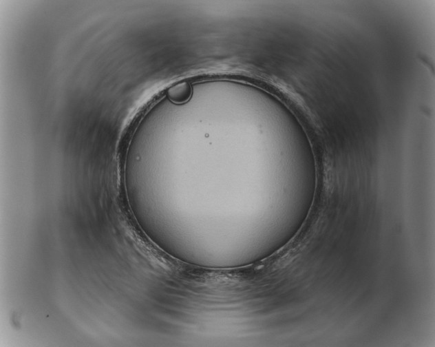 X0000103161270200809051651