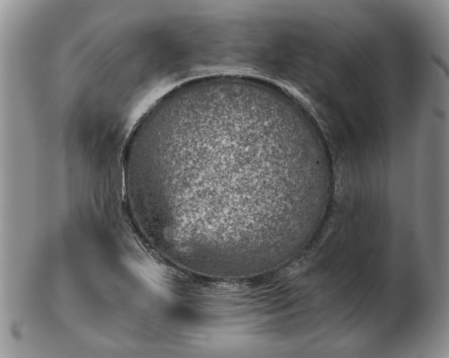 X0000103161271200809051651