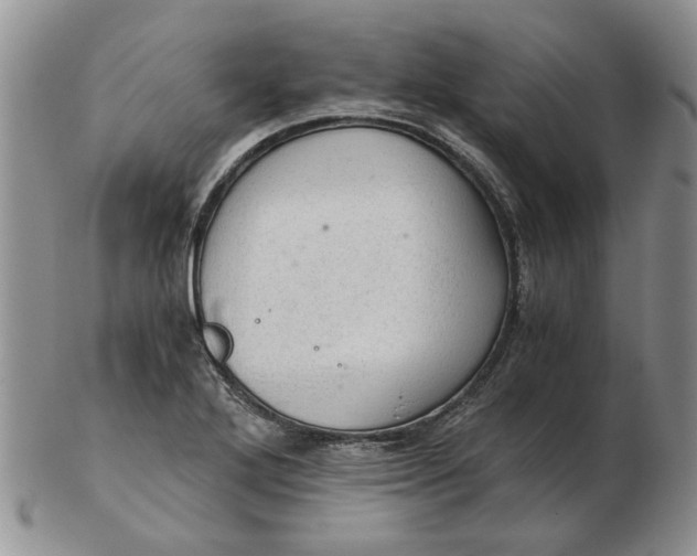 X0000103161272200809051651