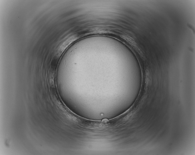 X0000103161273200809051651