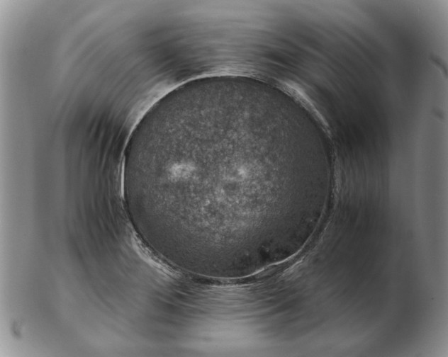 X0000103161276200809051651