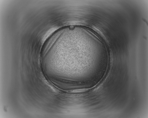 X0000103161277200809051651