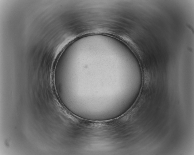 X0000103161278200809051651