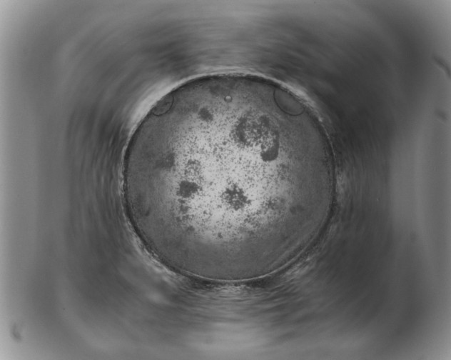 X0000103161279200809051651