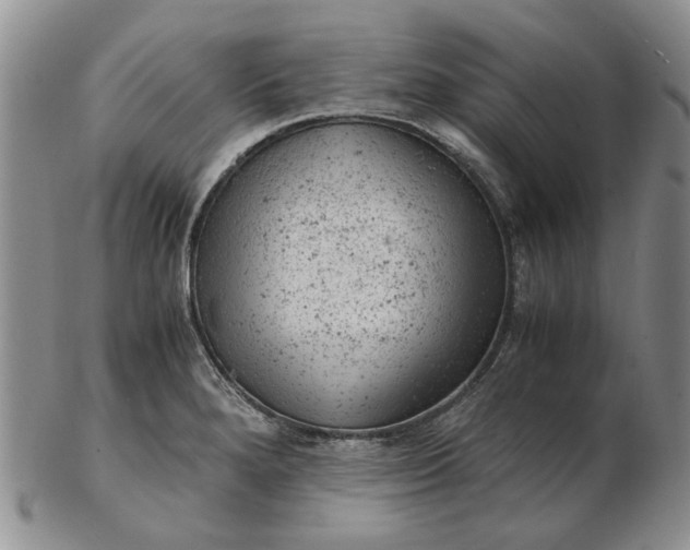 X0000103161280200809051651