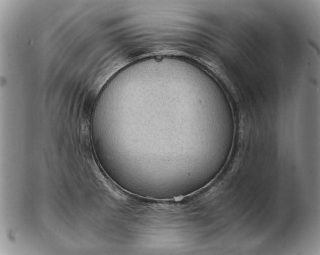 X0000103161281200809051651