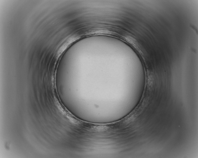 X0000103161282200809051651