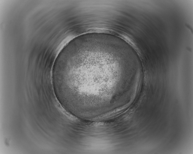 X0000103161283200809051651