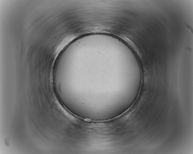 X0000103161285200809051651