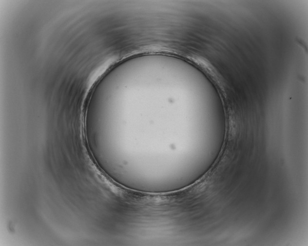 X0000103161286200809051651