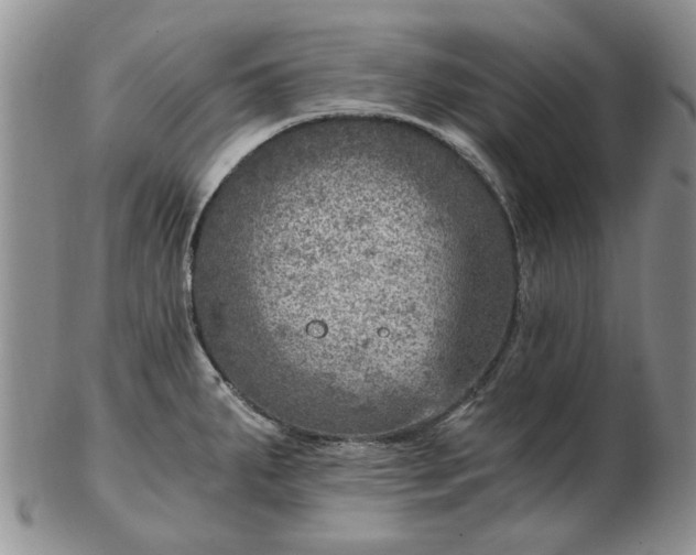 X0000103161287200809051651