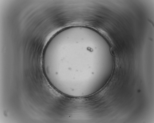 X0000103161288200809051651