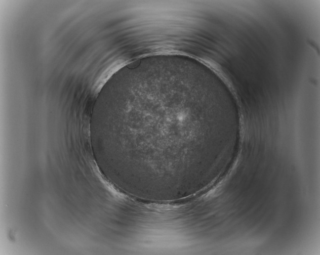 X0000103161289200809051651