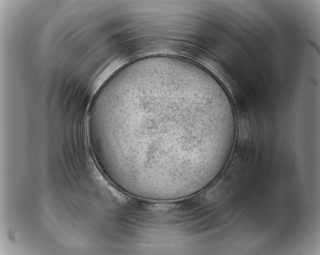 X0000103161290200809051651