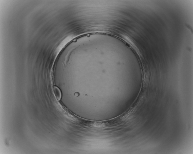 X0000103161291200809051651