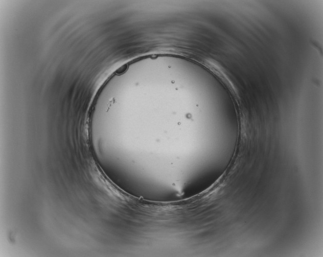 X0000103161292200809051651