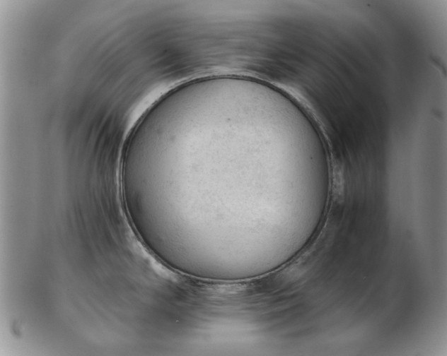 X0000103161294200809051651