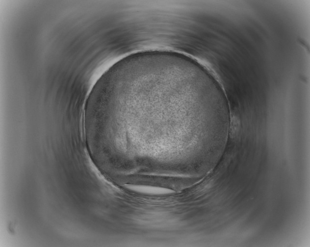 X0000103161295200809051651