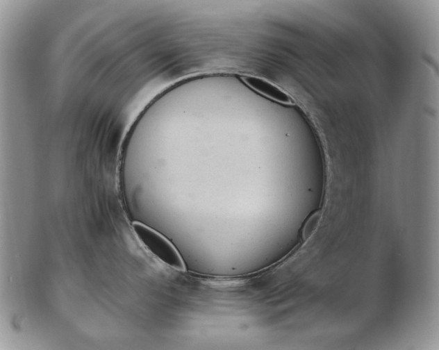 X0000103161296200809051651