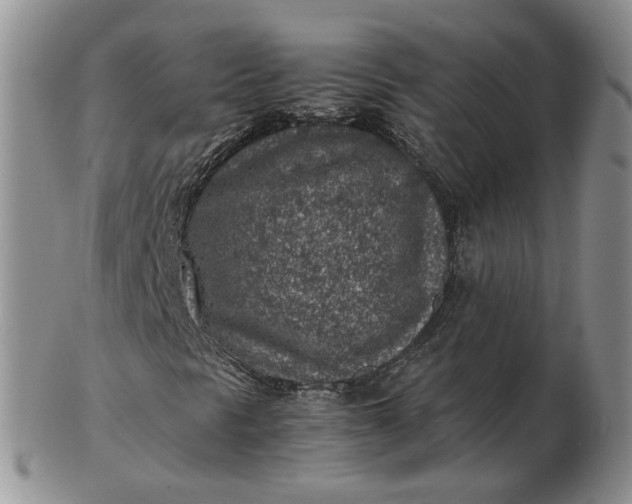 X0000103161297200809051650