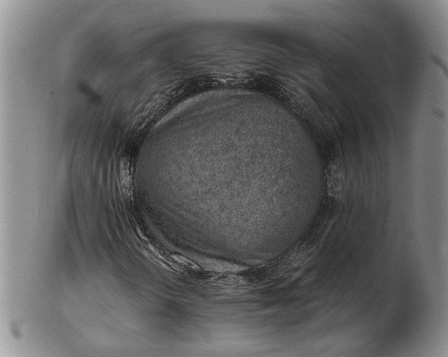 X0000103161298200809051650