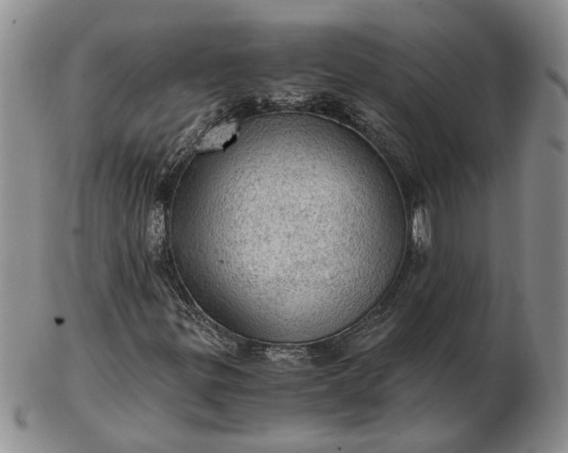 X0000103161299200809051650