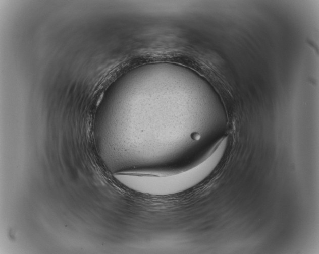 X0000103161300200809051650