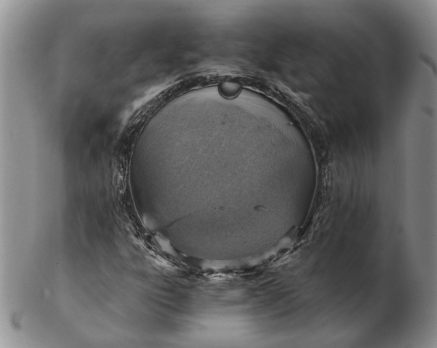 X0000103161303200809051650