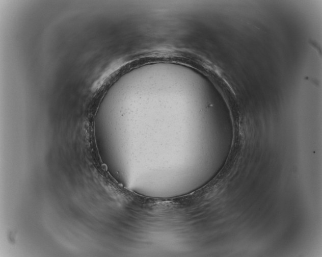 X0000103161304200809051650