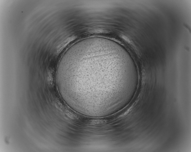 X0000103161305200809051650