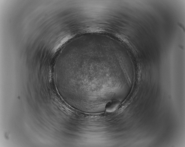 X0000103161306200809051650