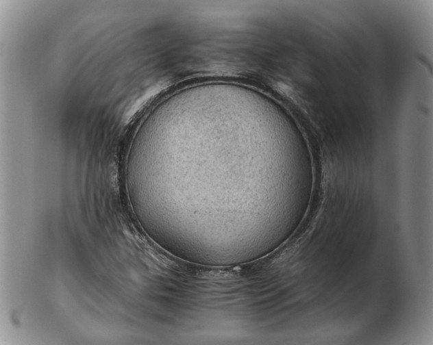 X0000103161307200809051650