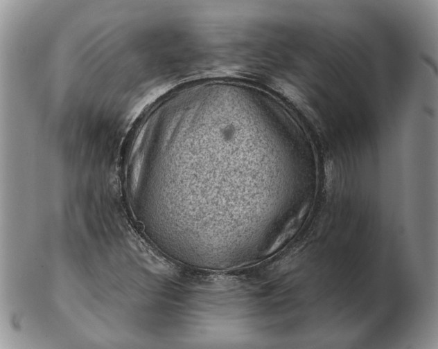 X0000103161308200809051651