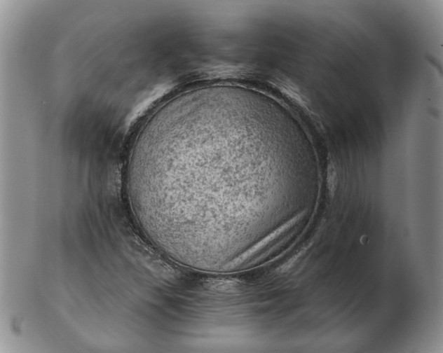 X0000103161309200809051651