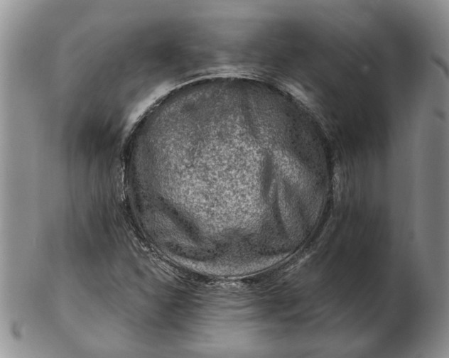 X0000103161310200809051651