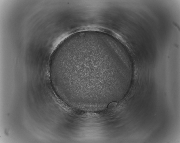 X0000103161312200809051651